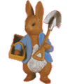 Peter Rabbit para colorir